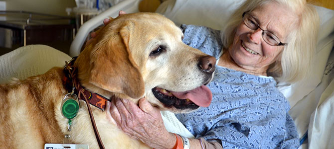 Dog therapy per malati e anziani, i benefici