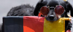 viaggio cani berlino