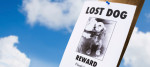 Cane smarrito e1459103418986