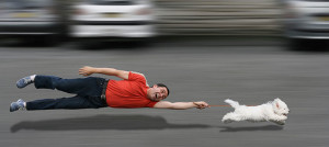 cane tira guinzaglio