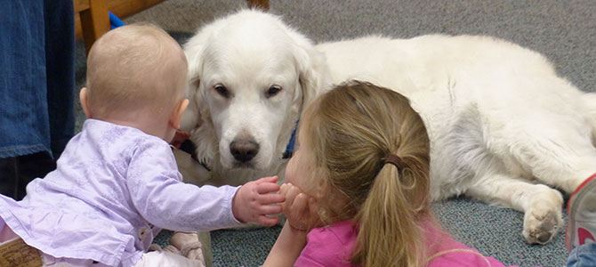 Segnali calmanti per comunicare con il cane