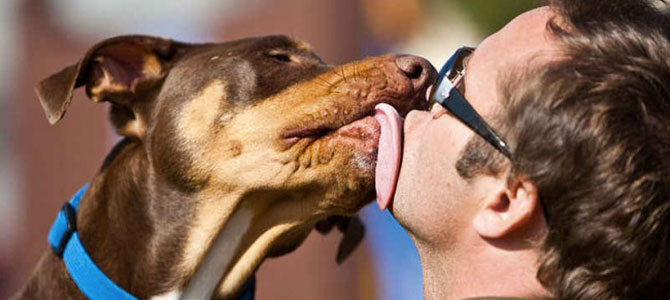 Il cane e la socializzazione con gli altri umani