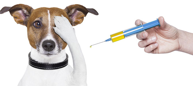 vaccinazioni