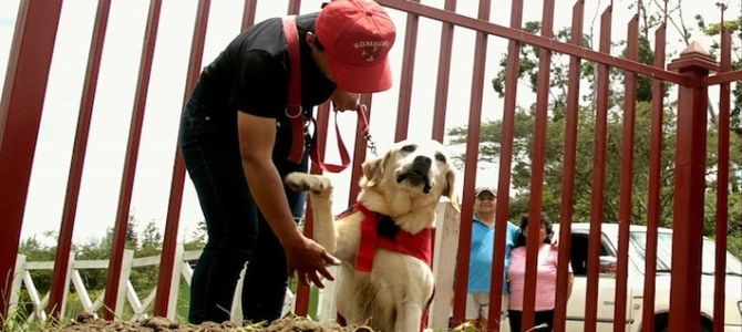 Addio Dayko, cane pompiere