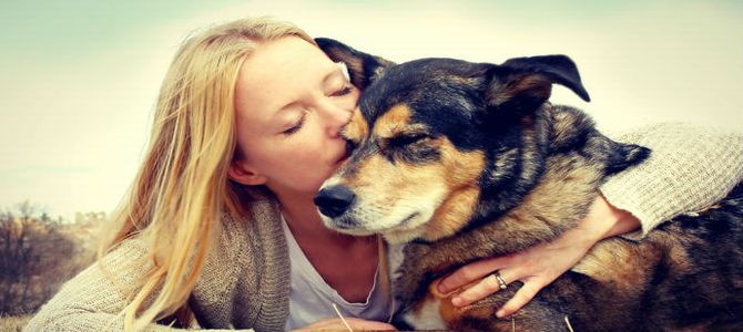 Se adotti un cane non paghi le tasse