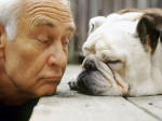 anziano cane