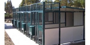 aprire un canile e1459707631567