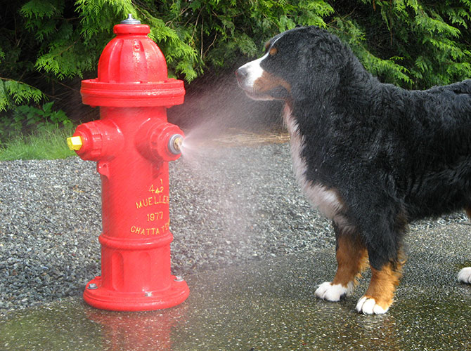 Quella tentazione chiamata acqua