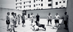 cani dentro carcere di bollate