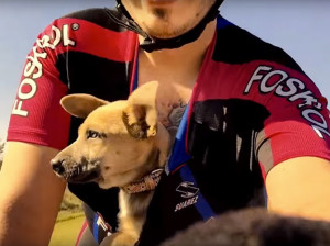 ciclista salva cane