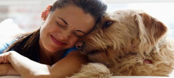 emozioni cani