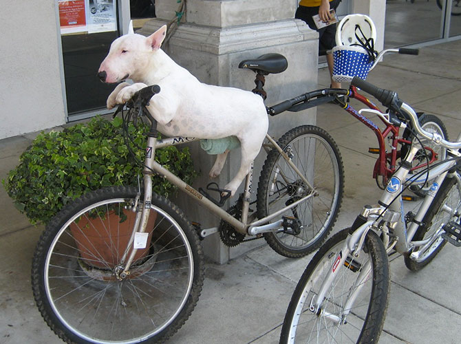 Pronti per il Giro d’Italia?