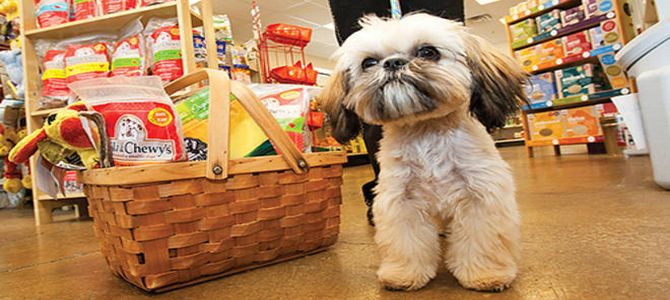 A Savona, negozi e bar accessibili ai cani