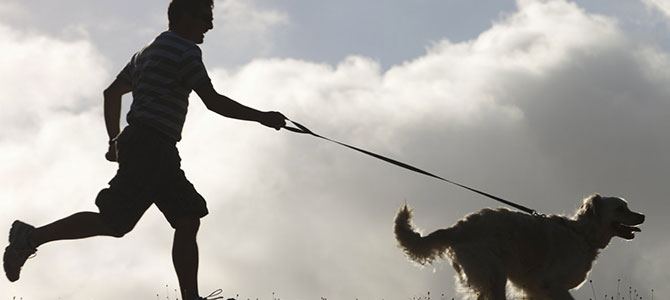 Correre col cane: consigli per fare jogging