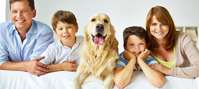 nuova casa del cane