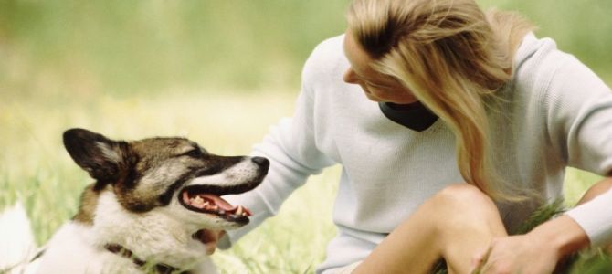 patentino cani
