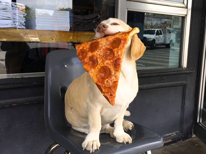 pizza gnam