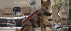 posting tail social network