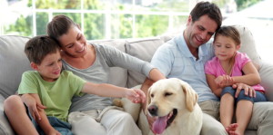 verifighe casa cane adottato e1459717442114