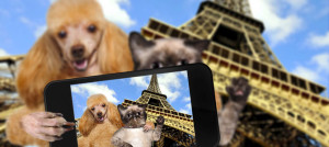 a parigi con il cane