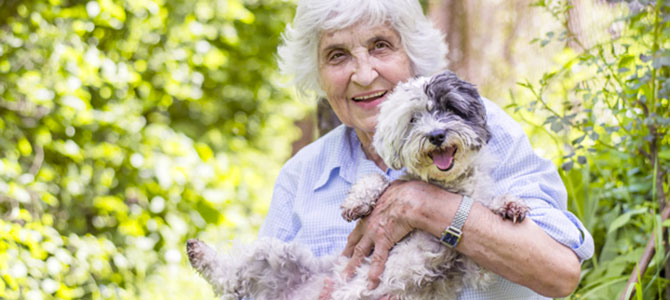 Anziani più in forma se vivono con un cane