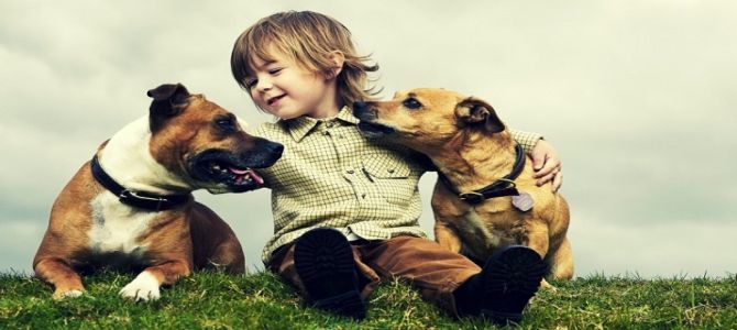 bambino con cani