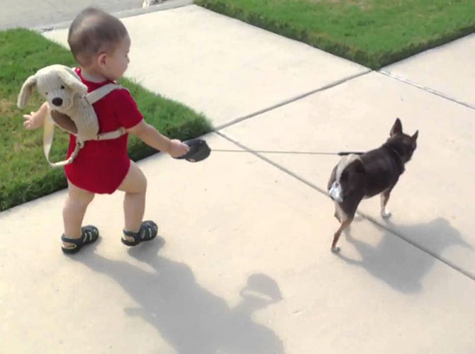 Bimbi e cani a spasso