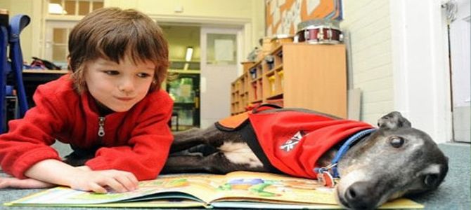 Bimbi in canile a leggere per gli animali