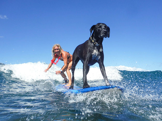 Surf, che passione!