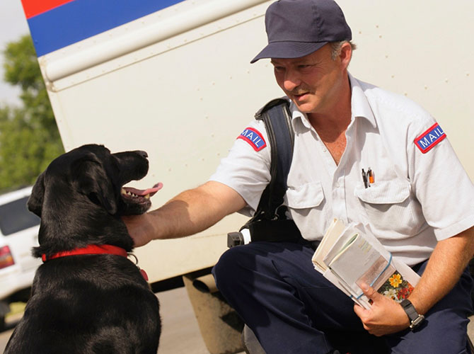 cani e postini