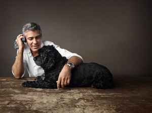 george clooney