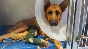 image 29 05 16 04 45