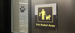 pet relief area