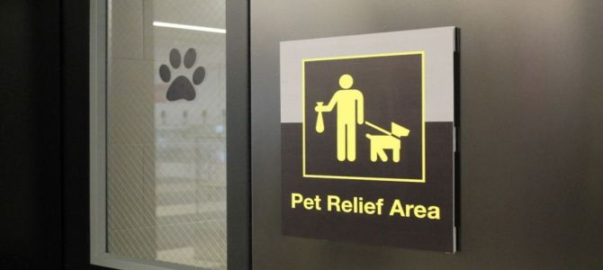 Toilette per cani negli aeroporti Usa