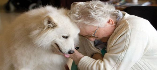 Pet therapy contro il Parkinson