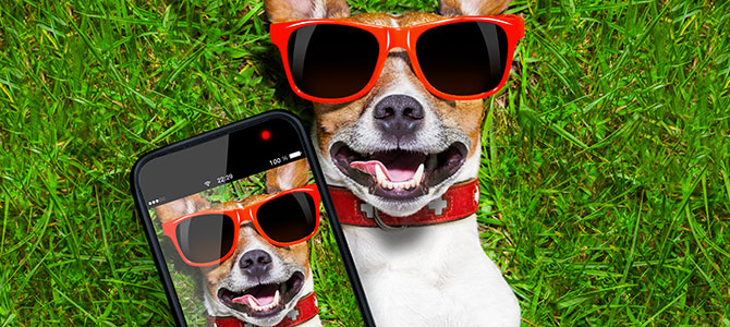 selfie cani