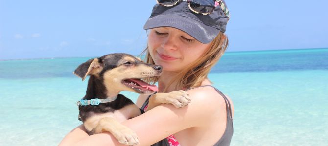 Ai Caraibi, i cuccioli si adottano in spiaggia