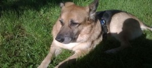 2016 06 08 PHOTO 00000010