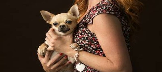 may bee World Dog Show