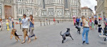 a firenze con il cane