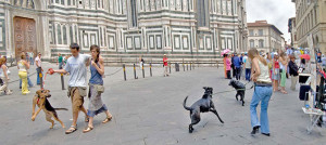 a firenze con il cane