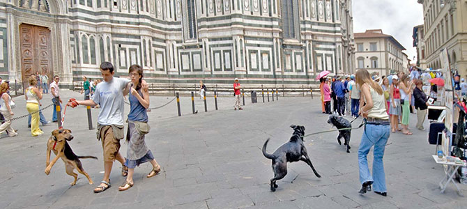 Vacanza con il cane a Firenze