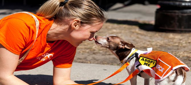 Letture per i cani che hanno subito abusi