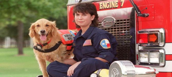 Addio Bretagne, eroico cane delle Torri Gemelle