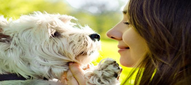 Il rapporto cane-padrone passa dagli occhi