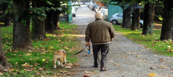 Avellino? Non è proprio una città per cani