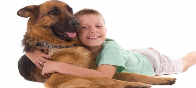 In Toscana, campus per conoscere il cane