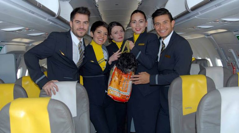 Animali a bordo anche sui voli Vueling