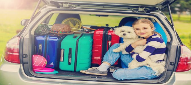 cani vacanza