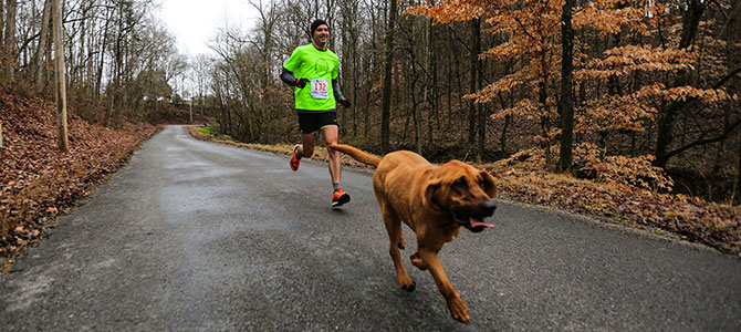 Correre con il cane? Si può!